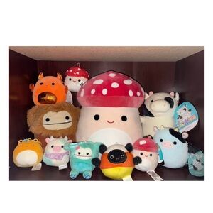 Squishmallow bundle